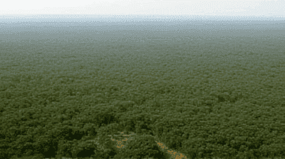 Brazil's Amazon Policies Under Lula: Reversing Deforestation or Empty Promises?