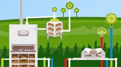 Food Waste to Biofuel: How Anaerobic Digestion Turns Scraps into Energy