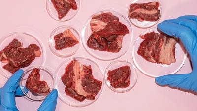 Lab-Grown Meat: Will Cellular Agriculture Revolutionize Protein?