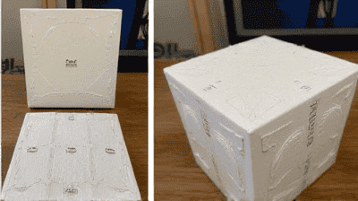 Mycelium Packaging: How Mushrooms Are Replacing Styrofoam