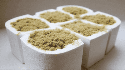 Mycelium Packaging: How Mushrooms Are Replacing Styrofoam