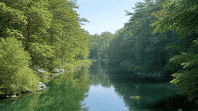 Rights of Nature: How Giving Rivers Legal Personality Could Save Ecosystems