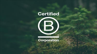 The Rise of B Corps: Can Certified Businesses Lead the Sustainability Revolution?