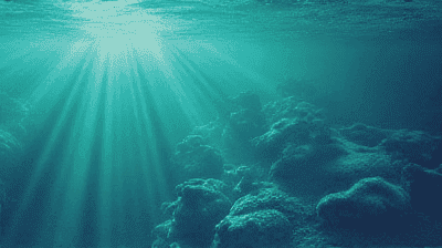 The Silent Crisis: Why Ocean Deoxygenation is the Next Big Climate Threat